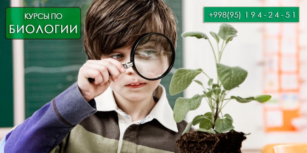 kursy-po-biologiii-v-tashkente-realscience kursy-po-biologiii-v-tashkente-realscience